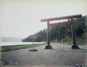 Teacups: Lake Hakone