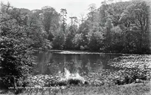 Kenwood: The Lake at Kenwood