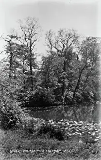 Kenwood: The Lake at Kenwood