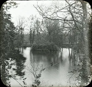 Keston: The lake, Keston