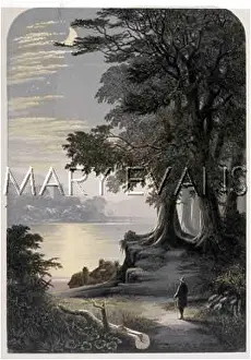 Illuminates: LAKE BY MOONLIGHT