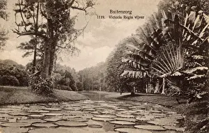 Regia: Lake in a park, Buitenzorg, West Java, Indonesia