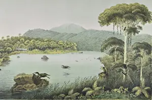 Situ: Lake Patengan, Java