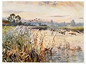 Swoop: LAKE AT SALFORD PRIORS