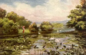 Ponds: Lake with Swans