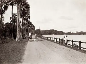 Rangoon: Lake view, Rangoon, Yangon, Burma, Myanmar