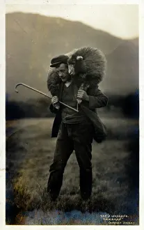 Tenderly: A Lakeland Dalesman