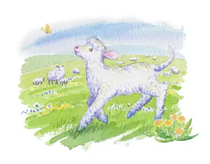 Kaoru: Lamb with Butterfly