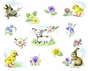 Crocuses: Lamb, chick, duckling, rabbit and spring flowers