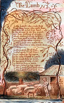 Songs: The Lamb. A page from Songs of Innocence by