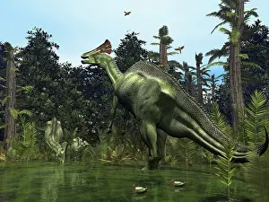 Awareness: A Lambeosaurus rears onto its hind legs in response to a ?