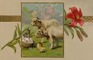 Lambs: Lambs, Chick, and Eggs