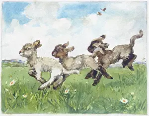 Orton: Three lambs gambolling in a field