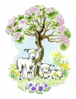 Lynes: Two Lambs under a May tree