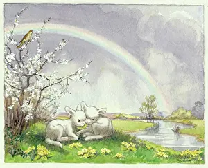 Huddle: Lambs and rainbow by Molly Brett