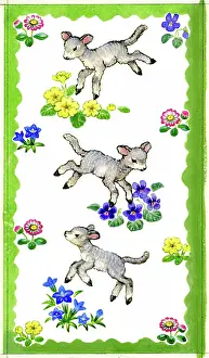 Lynes: Three lambs and spring flowers