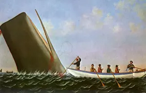 Whaling: Lancing a Sperm Whale