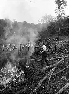 Felled: LAND GIRLS BONFIRE