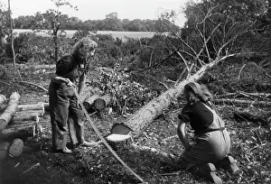 Felled: LAND GIRLS WITH LOGS