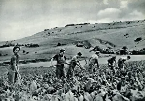 Dungarees: Land girls in training 1939