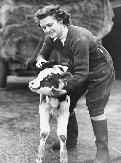 Brushing: Land Girls WWII