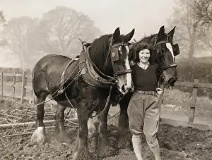 Shire: Land Girls WWII
