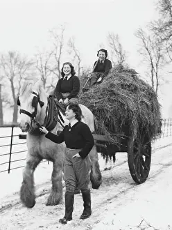 Landgirl: Land Girls WWII