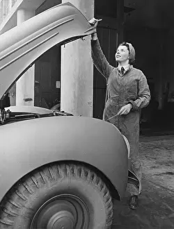 Landgirl: Land Girls WWII