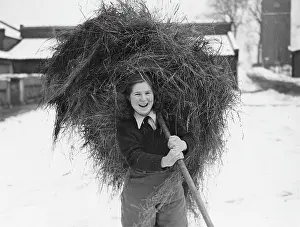 Landgirl: Land Girls WWII