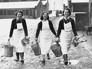 Milkmaid: Land Girls WWII