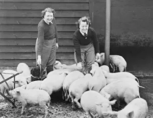 Landgirl: Land Girls WWII