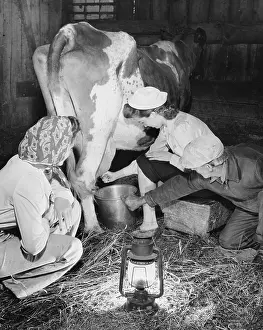 Landgirl: Land Girls WWII