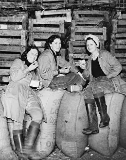 Landgirl: Land Girls WWII