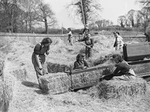 Baling: Land Girls WWII