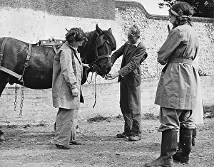 Landgirl: Land Girls WWII