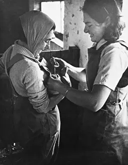 Landgirl: Land Girls WWII