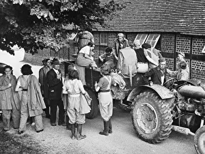 Thresher: Land Girls WWII