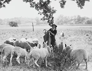 Landgirl: Land Girls WWII