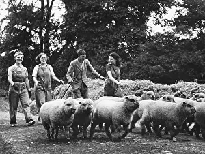 Landgirl: Land Girls WWII