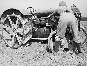 Landgirl: Land Girls WWII