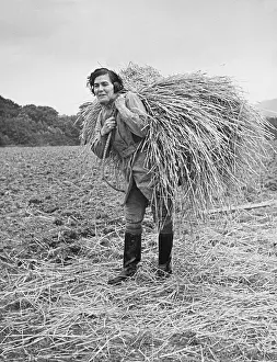 Thatching: Land Girls WWII