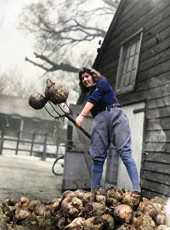 Mangold: Land Girls WWII