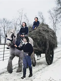 Landgirl: Land Girls WWII