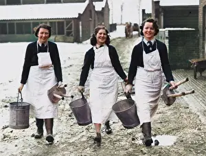 Milkmaid: Land Girls WWII