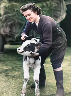 Brushing: Land Girls WWII
