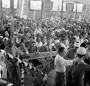 Reform: Land reform in Egypt