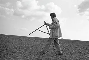 Surveyor: Land surveyor, 1992