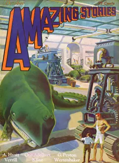 Whales: LAND WHALE