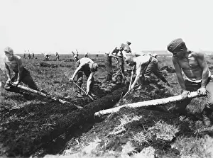 Reclamation: Land workers, Germany 1930s