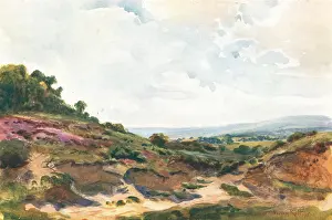 Rolt: Landscape